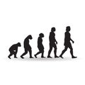 Human evolution. illustration Royalty Free Stock Photo