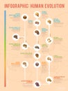 Human evolution infographic. Royalty Free Stock Photo
