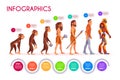 Human evolution infographics time line transform Royalty Free Stock Photo