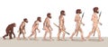 Human Evolution. Man Evolution. Historical Illustrations. Human Evolution Vector Illustration. Royalty Free Stock Photo
