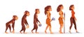 Human evolution from monkey to modern sexy woman Royalty Free Stock Photo