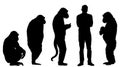 Human Evolution Silhouette Sequence Royalty Free Stock Photo