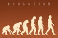 Human evolution species