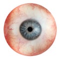 Human eye Royalty Free Stock Photo