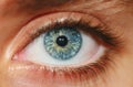 Human Eye Royalty Free Stock Photo