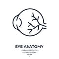 Human eye anatomy editable stroke outline icon isolated on white background flat vector illustration. Pixel perfect. 64 x 64 Royalty Free Stock Photo