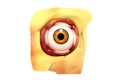 Human eye anatomy. inner structure Royalty Free Stock Photo