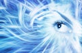 Human eye on blue backround Royalty Free Stock Photo