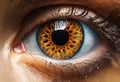 Human eye with brown iris close-up