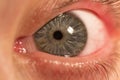 Human eye Royalty Free Stock Photo