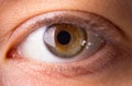 Human eye close-up Royalty Free Stock Photo