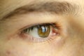 Human eye close up. eyeball and pupil Royalty Free Stock Photo