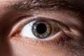 Human eye close-up, macro. Beautiful iris and the pupil of the eye, healthy vision and identity Royalty Free Stock Photo
