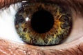 Human eye close-up, macro. Beautiful iris and the pupil of the eye. Royalty Free Stock Photo