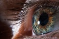 Human eye close-up, macro. Beautiful iris and the pupil of the eye, healthy vision and identity. Royalty Free Stock Photo