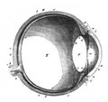 The human eye closer schema in the old book The Human Body, by K. Bock, 1870, St. Petersburg