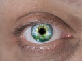 The human eye closeup Royalty Free Stock Photo