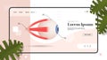Human eye icon internal organ structure detailed eyeball medical healthcare anatomy biology concept flat copy space
