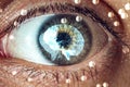 The human eye with the image of the brain in the pupil. Concept of artificial intelligence Royalty Free Stock Photo