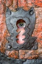 Human eye in keyhole