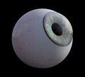 Human eye looking around Royalty Free Stock Photo