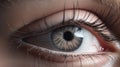 Human eye macro shot. Quality photo Royalty Free Stock Photo