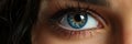 Human eye macro shot. Quality photo Royalty Free Stock Photo