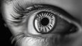 Human eye macro showing iris and pupil detail in black and white Royalty Free Stock Photo
