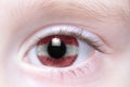 Human eye with national flag of latvia