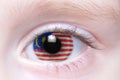 Human eye with national flag of malaysia