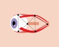 Eyeball, optic nerve isolated, technological flat vector stock illustration, modern study of human organ Royalty Free Stock Photo