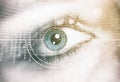 Human Eye. Security concept Royalty Free Stock Photo