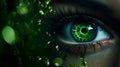 Human eye, vision, clear eyesight Royalty Free Stock Photo