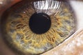 Human Eye