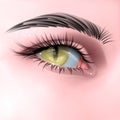 Human eye with yellow reptile pupil, vector illustration in realistic style Royalty Free Stock Photo