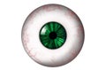 Human eyeball with green iris