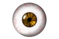 Human eyeball with yellow iris