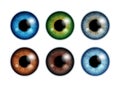 Human eyeballs iris pupils set - assorted colors.