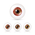 Human Eyeballs Set With Big Irises In Colour. Vector Illustration Of 3d Glossy Detailed Eye With Shadow And Reflection