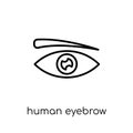 Human Eyebrow icon. Trendy modern flat linear vector Human Eyebrow icon on white background from thin line Human Body Parts