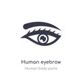 human eyebrow outline icon. isolated line vector illustration from human body parts collection. editable thin stroke human eyebrow