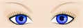 Human eyes Royalty Free Stock Photo