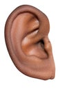 human face ear detail close-up macro shot Royalty Free Stock Photo