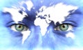 Human face with map of world - Speed of life concept Royalty Free Stock Photo