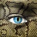 Human face with snake skin texture Royalty Free Stock Photo