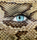 Human face with snake skin texture Royalty Free Stock Photo