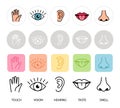 Human feelings. Five senses vector illustration. Lips, hand, nose, eye and ear icons. Smell, touch, hearing, sensory and