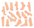 Human feet. Cartoon male and female body ankle elements. Barefoot with fingers. Pedicure illustration. Naked foot sole posing.