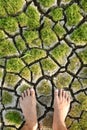Human feet on green grass plant and cracked earth Royalty Free Stock Photo