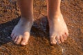 Human feet stand on the sand on the beach Royalty Free Stock Photo